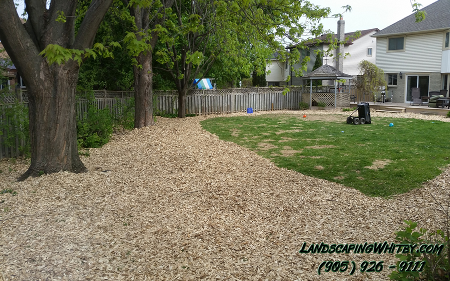 Dog Run Mulch